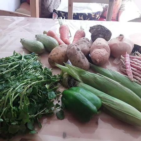 Hébergement de vacances Ecoturismo Casa Rural *
