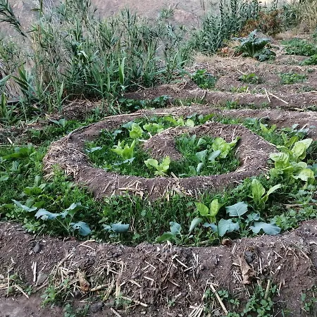 Ecoturismo Casa Rural * Tejeda (Gran Canaria)