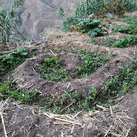 Hébergement de vacances Ecoturismo Casa Rural Tejeda (Gran Canaria)