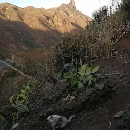 Ecoturismo Casa Rural * Tejeda (Gran Canaria)